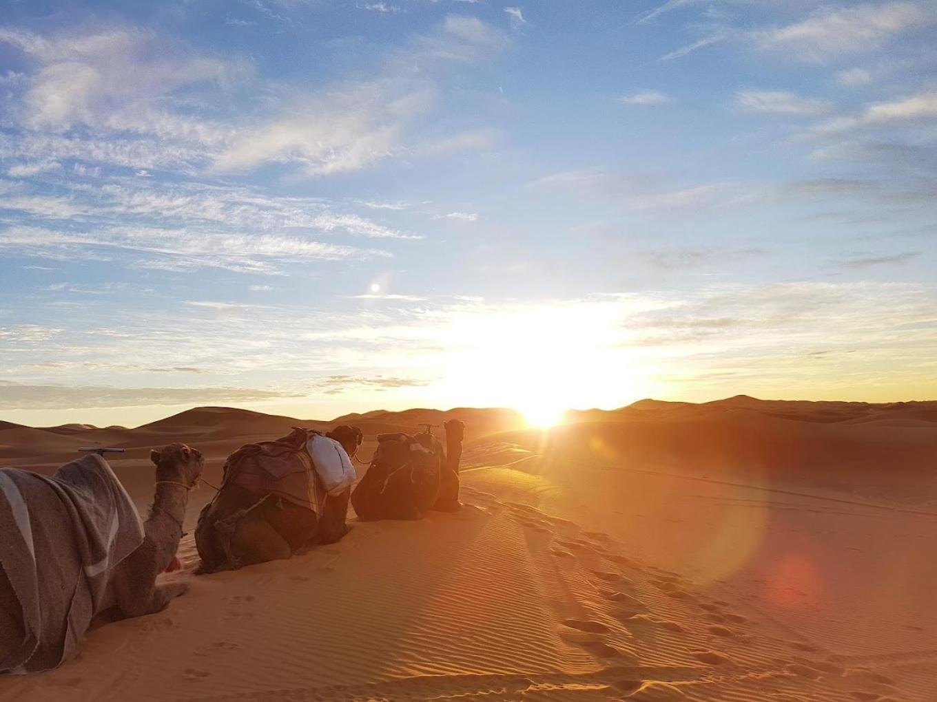 Les Roches Desert Camp Merzouga Exterior foto